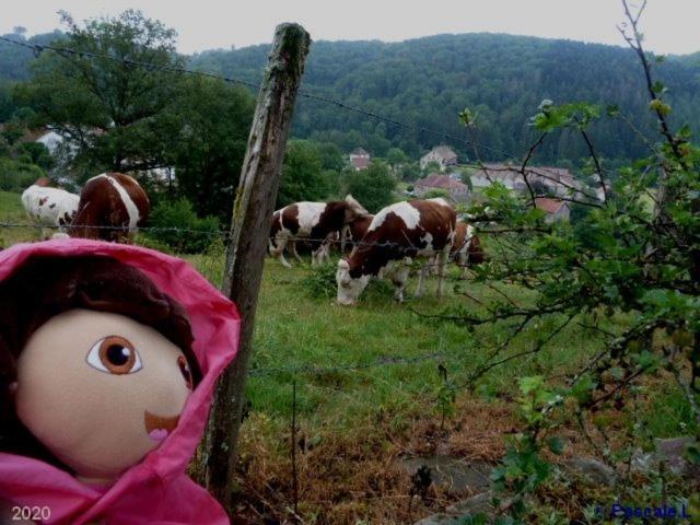 Gite Rural Les Maires D'Avaux Saint-Bresson Kültér fotó