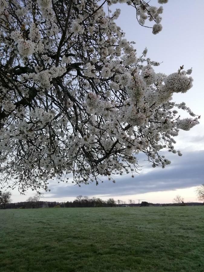 Gite Rural Les Maires D'Avaux Saint-Bresson Kültér fotó